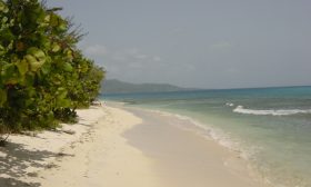 Zdjęcie z rejsu żeglarskiego Clifton na Union Island: Plaże na wyspie