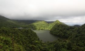Zdjęcie z rejsu żeglarskiego Dominika: Tropikalne lasy z wycieczkowym szlakiem