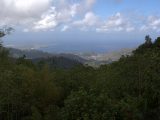 Zdjęcie z rejsu żeglarskiego Grenada: Park Narodowy Grand Etang