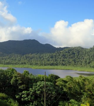 Zdjęcie z rejsu żeglarskiego Grenada: Park Narodowy Grand Etang