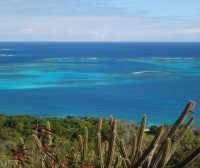 Zdjęcie z rejsu żeglarskiego Mayreau: Tobago Cays