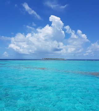 Zdjęcie z rejsu żeglarskiego Mayreau: Tobago Cays