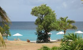 Saint Vincent i Grenadyny  Mustique