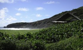 Zdjęcie z rejsu żeglarskiego Mustique: Plaże na wyspie Mustique