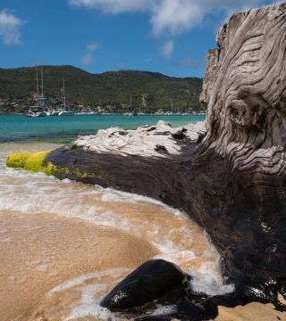 Zdjęcie z rejsu żeglarskiego Saint Vincent i Grenadyny: Bequia