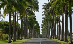 Guadeloupe  Gwadelupa