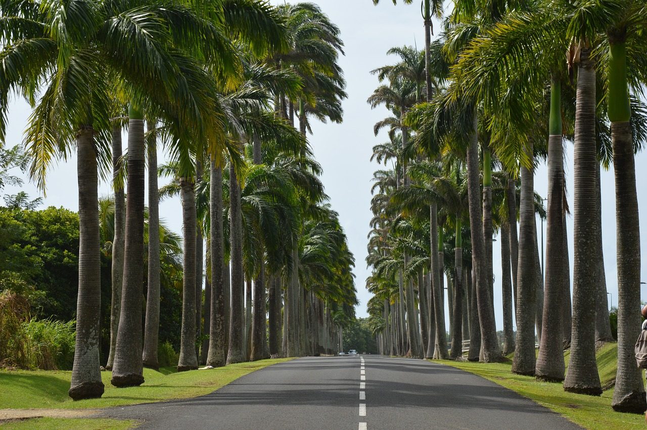guadeloupe-1158593_1280.jpg