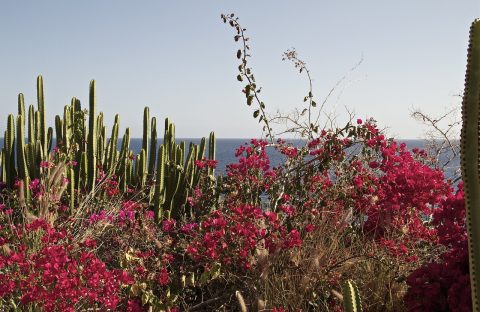 Zdjęcie z rejsu żeglarskiego Gran Canaria