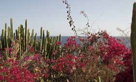 Hiszpania  Gran Canaria