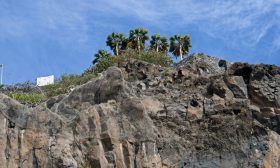 Zdjęcie z rejsu żeglarskiego La Gomera