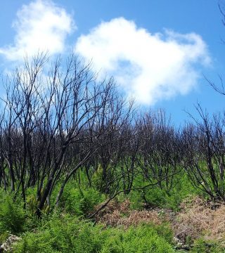 Zdjęcie z rejsu żeglarskiego La Gomera