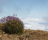 Zdjęcie z rejsu żeglarskiego La Palma