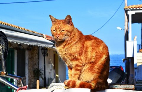 Zdjęcie z rejsu żeglarskiego Lefkada