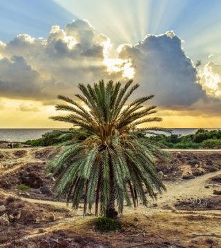 Zdjęcie z rejsu żeglarskiego Paphos