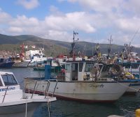 Zdjęcie z rejsu żeglarskiego Marina di Campo