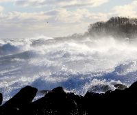 Zdjęcie z rejsu żeglarskiego Bornholm