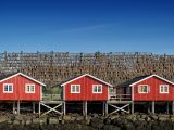 Zdjęcie z rejsu żeglarskiego Lysebotn: Preikestolen