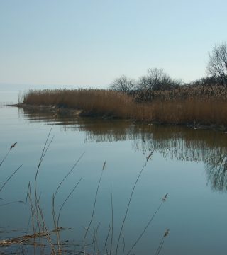 Zdjęcie z rejsu żeglarskiego Zatoka Gdańska