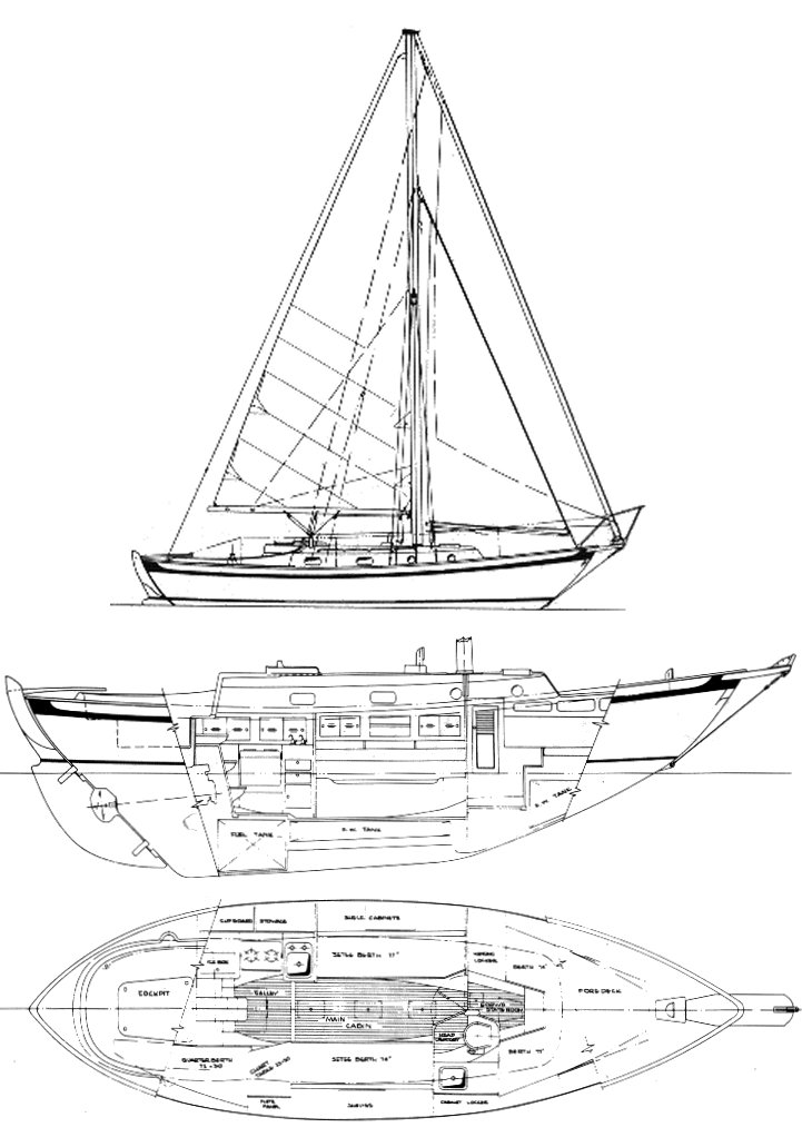 Southern Cross 31