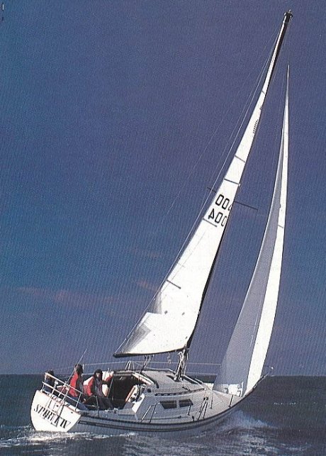 Spirit 28 (finch)