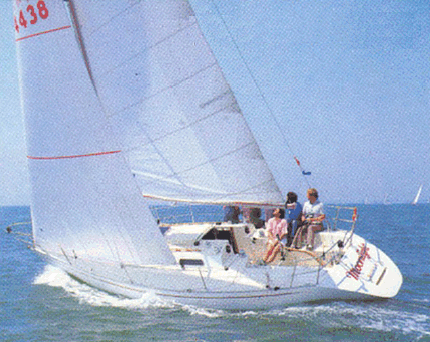 Contessa 33