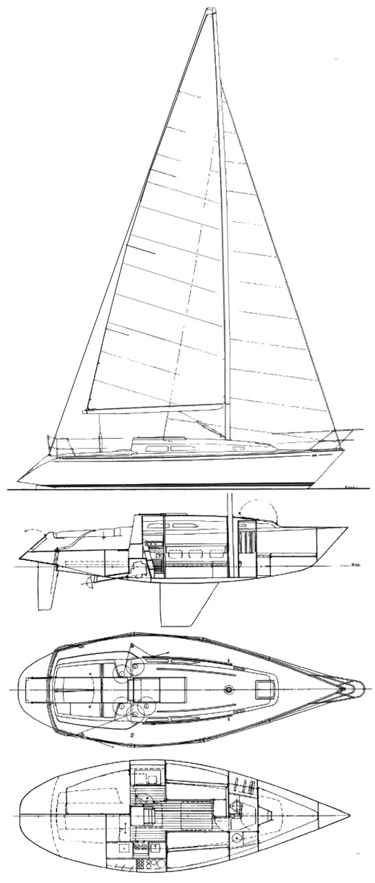 Contessa 33