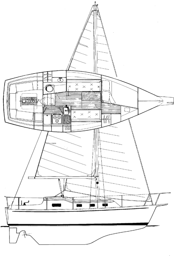 Bombay Clipper 31