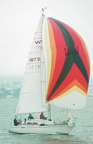 Wylie 34