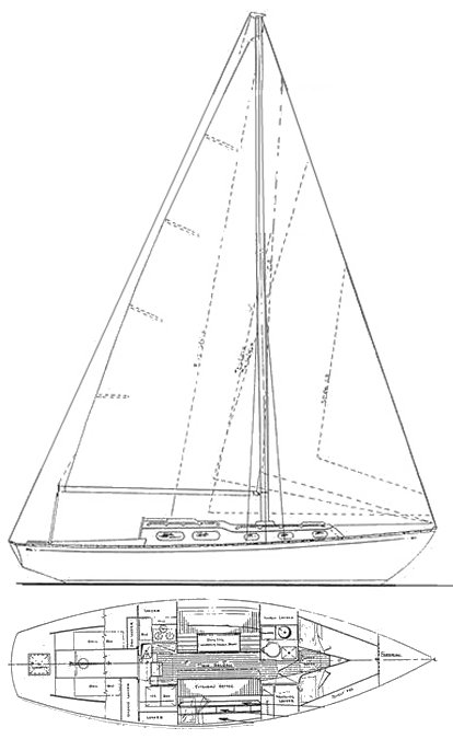 Luders 33 (allied)