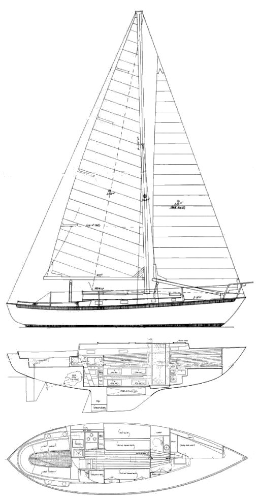 Vineyard Vixen 34