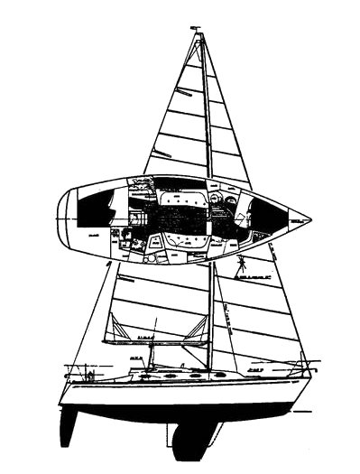 Tartan 31