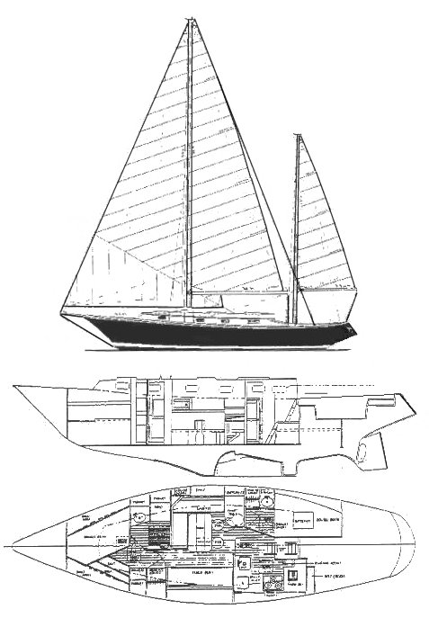 Wright 40 (allied)