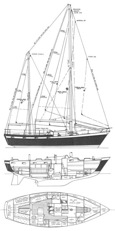 Tartan Tock 40