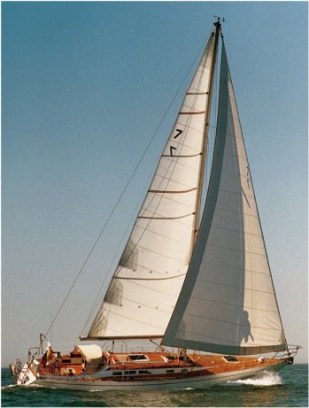 Cardinal 46