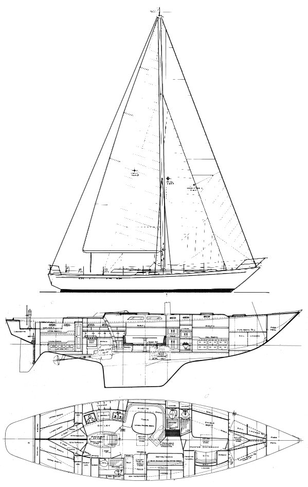 Wittholz 53 (cheoy Lee)