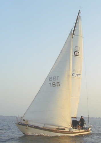 Commander 31 (bianca)