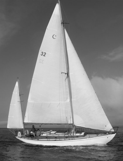 Concordia 40