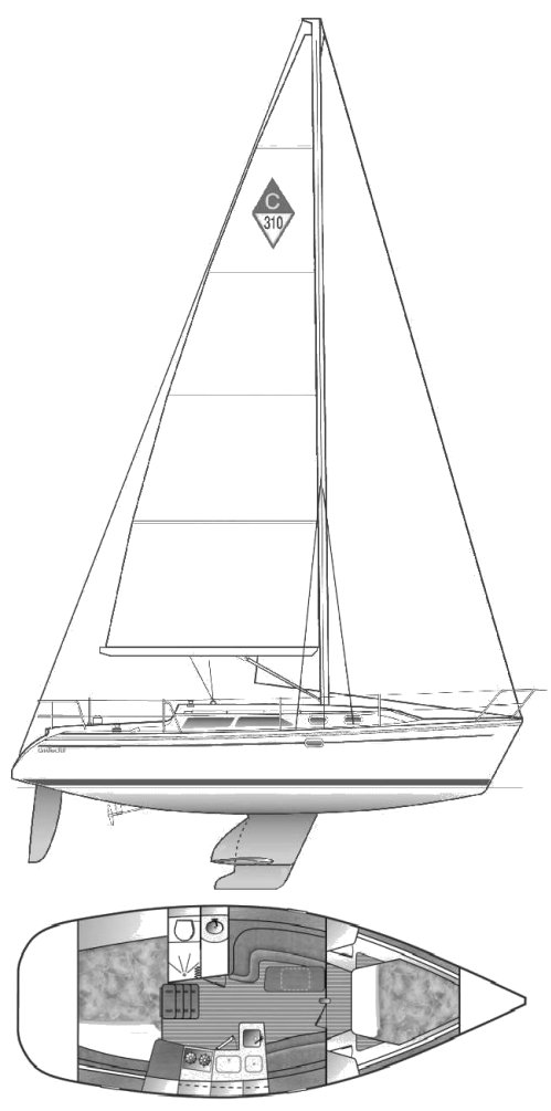 Catalina 310