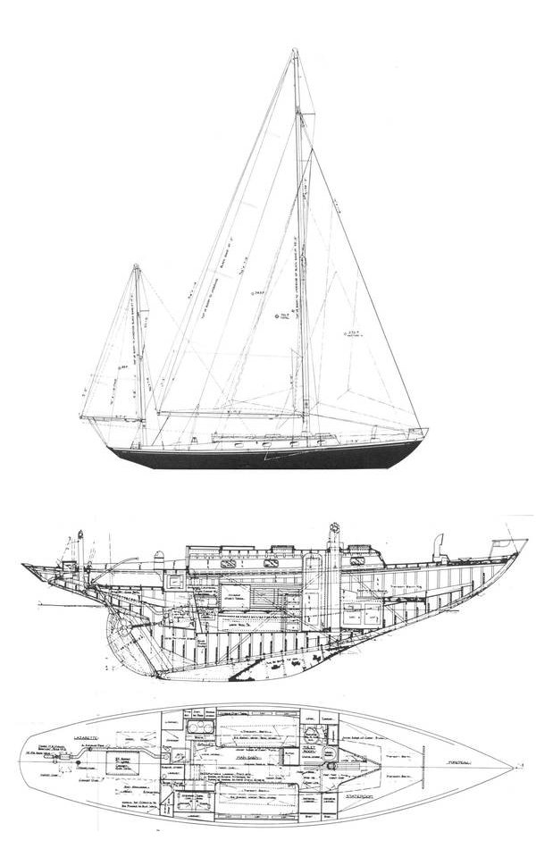 Loki 38 (s&s)