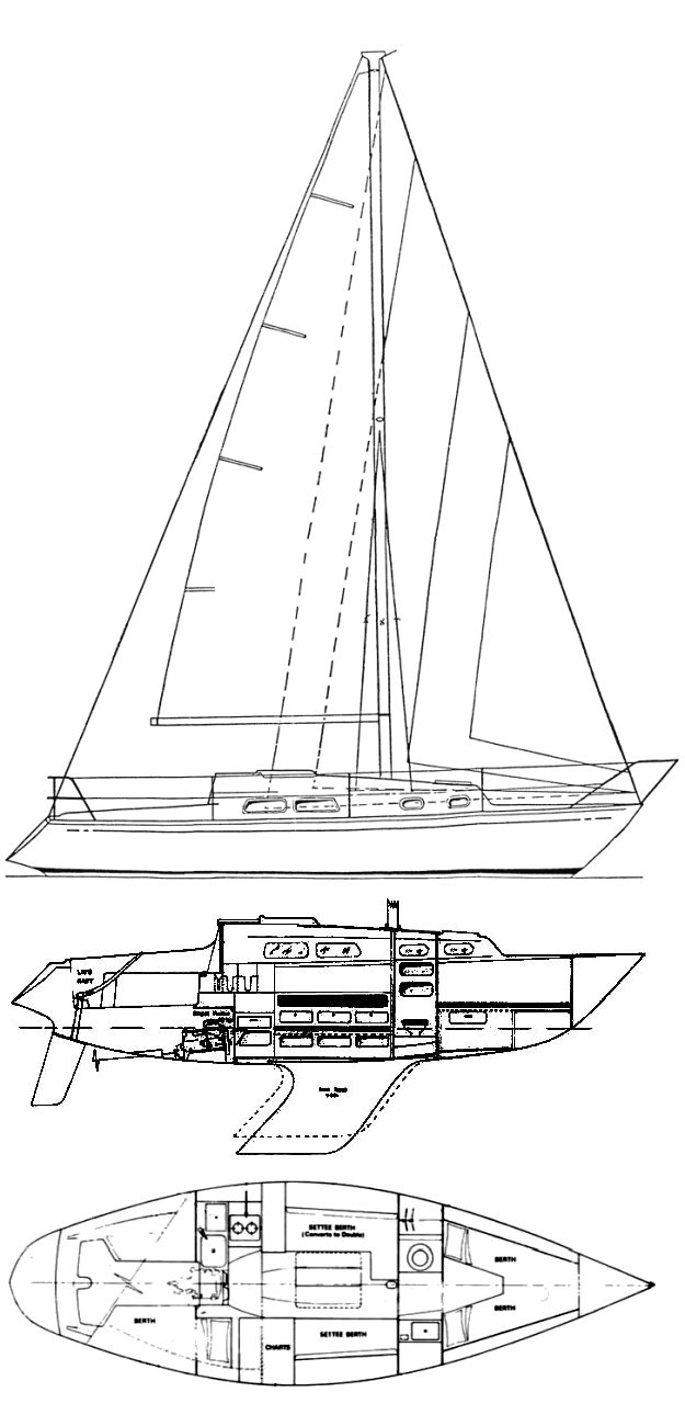 Elizabethan 30