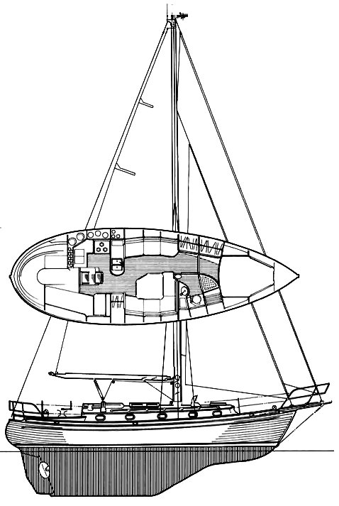 Tashiba 36