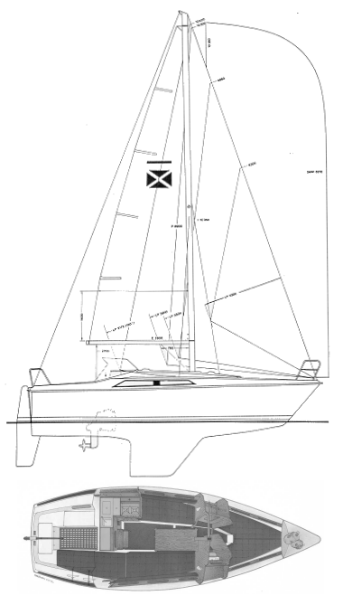 Maxi 84