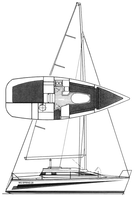 Mg Spring 25