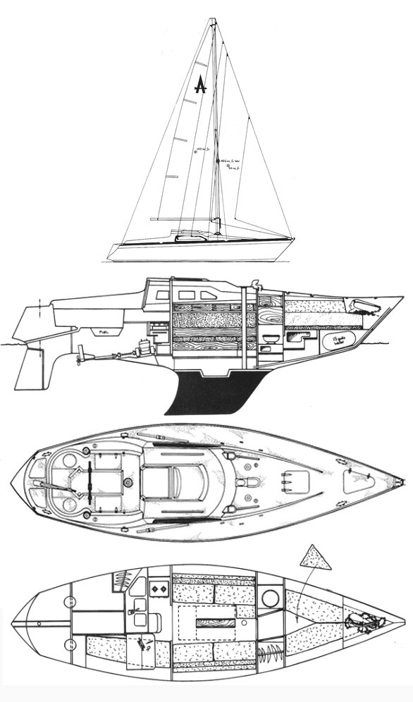 Achilles 9m