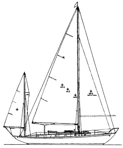 Concordia 41