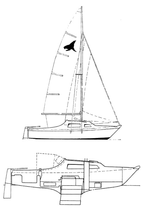 Seal 22