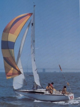 Merit 25
