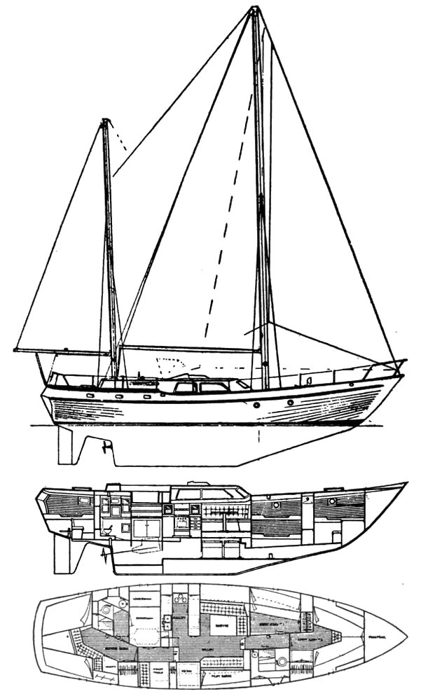 Transpac 49