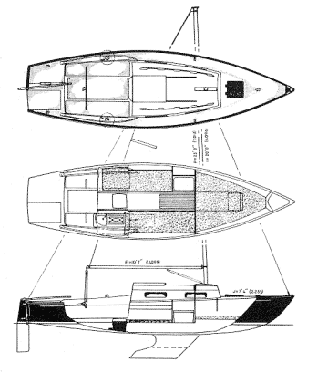 Shark 24