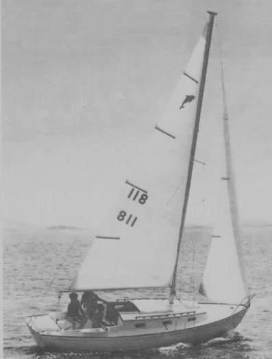 Dolphin 24 (yankee)